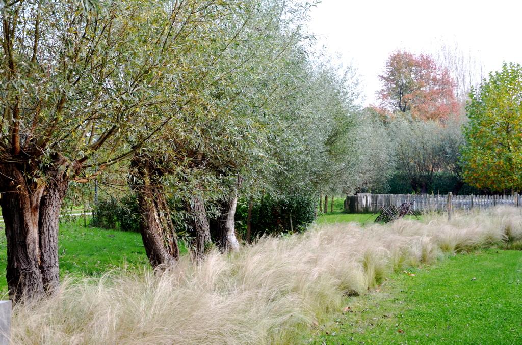 De wisselwerking met de omgeving, die in samenspraak met de stad Gent, wordt ingericht tot een zone waar kinderen kunnen spelen terwijl ouderen naar het spel kunnen kijken. De zone van het WZC en de zone van de Weverbosdreef vloeien in mekaar open.